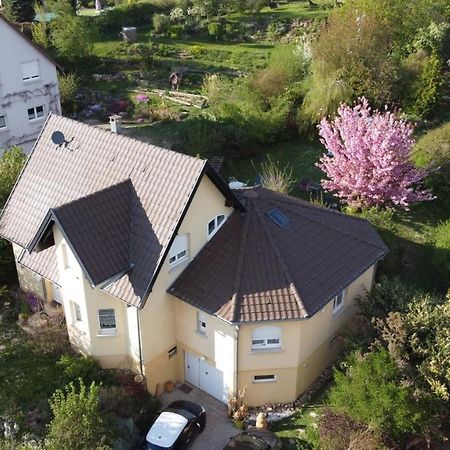 Apartmán Chez Olivier Et Josette Sur Mulhouse Sud Illfurth Exteriér fotografie