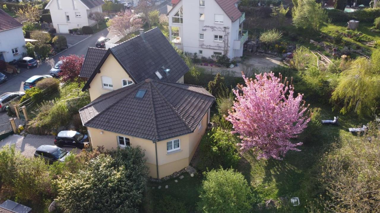 Apartmán Chez Olivier Et Josette Sur Mulhouse Sud Illfurth Exteriér fotografie