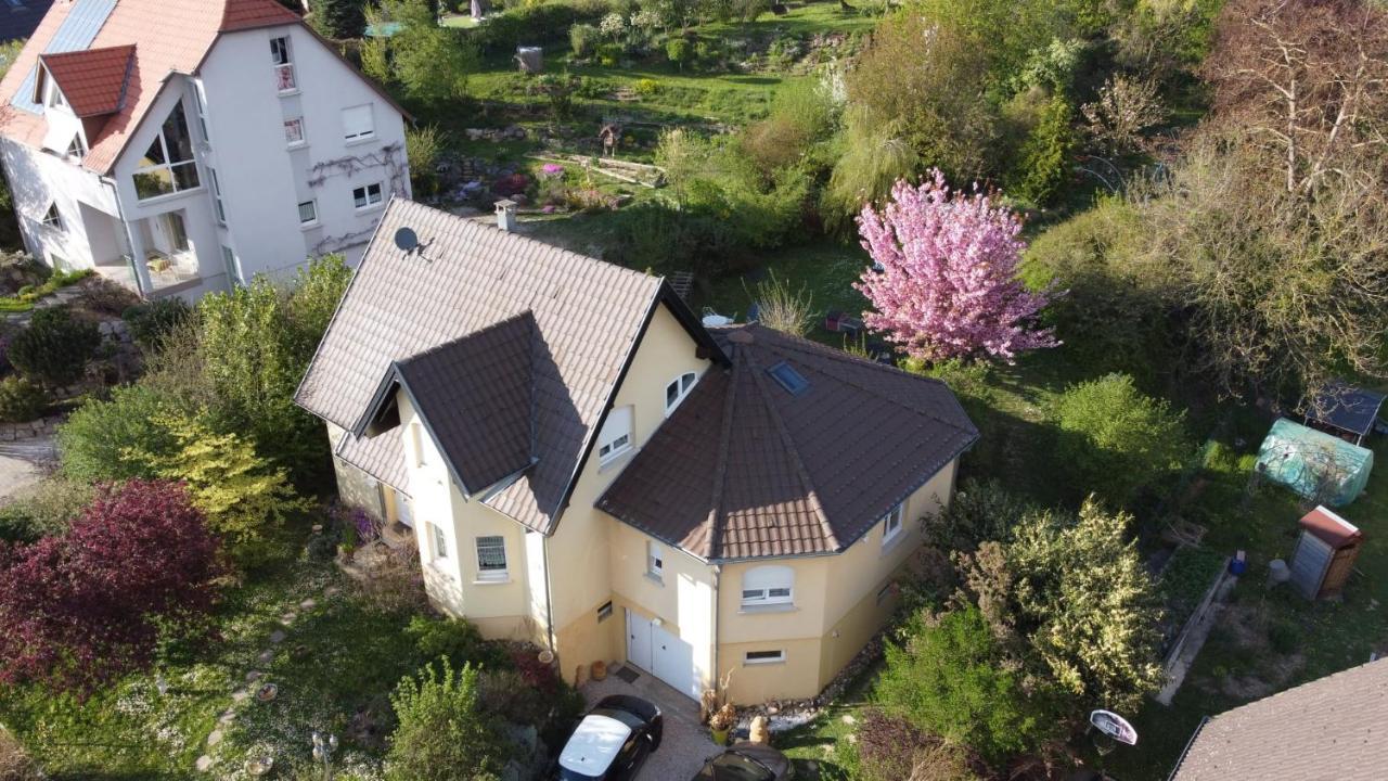 Apartmán Chez Olivier Et Josette Sur Mulhouse Sud Illfurth Exteriér fotografie
