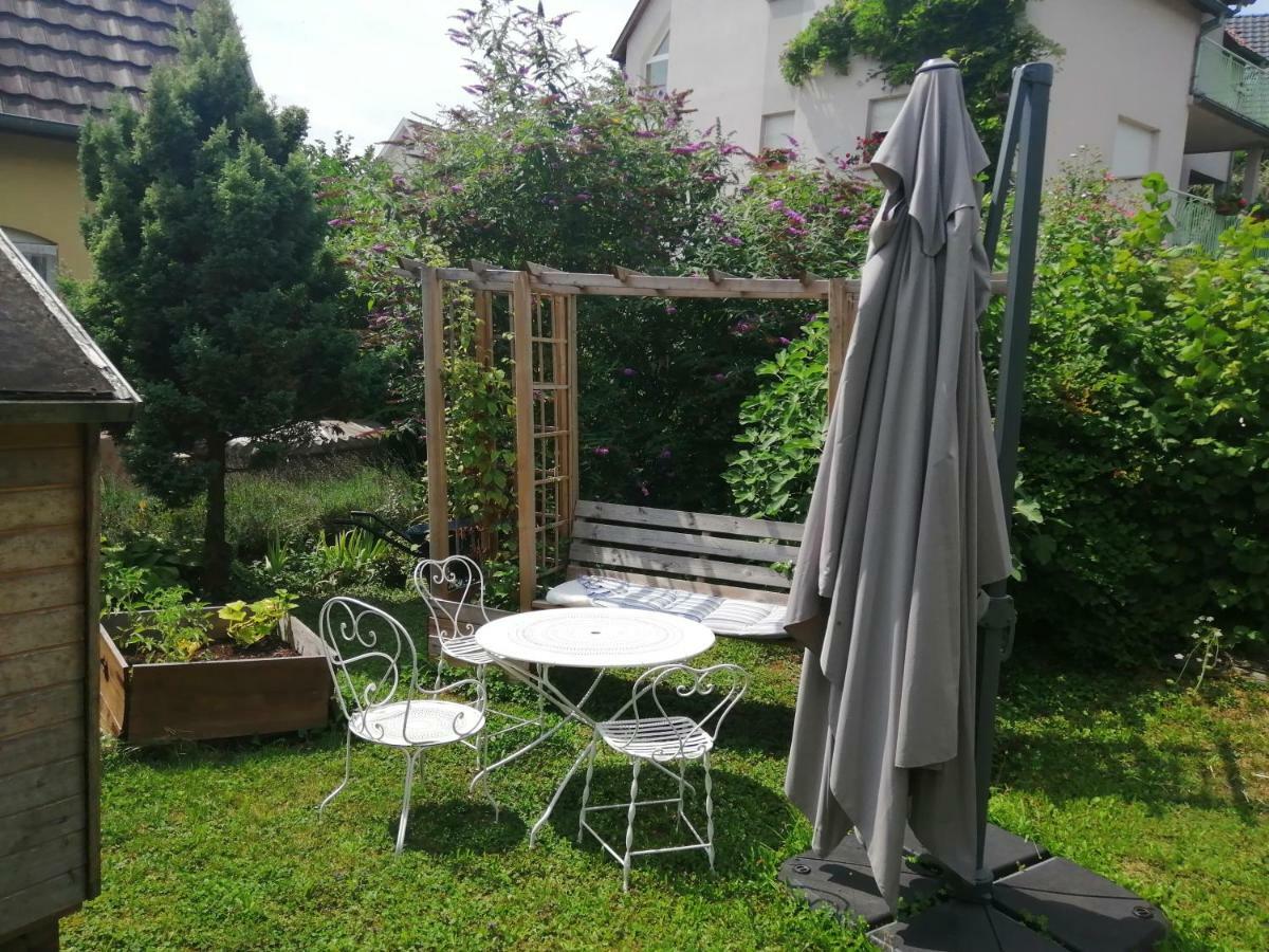 Apartmán Chez Olivier Et Josette Sur Mulhouse Sud Illfurth Exteriér fotografie