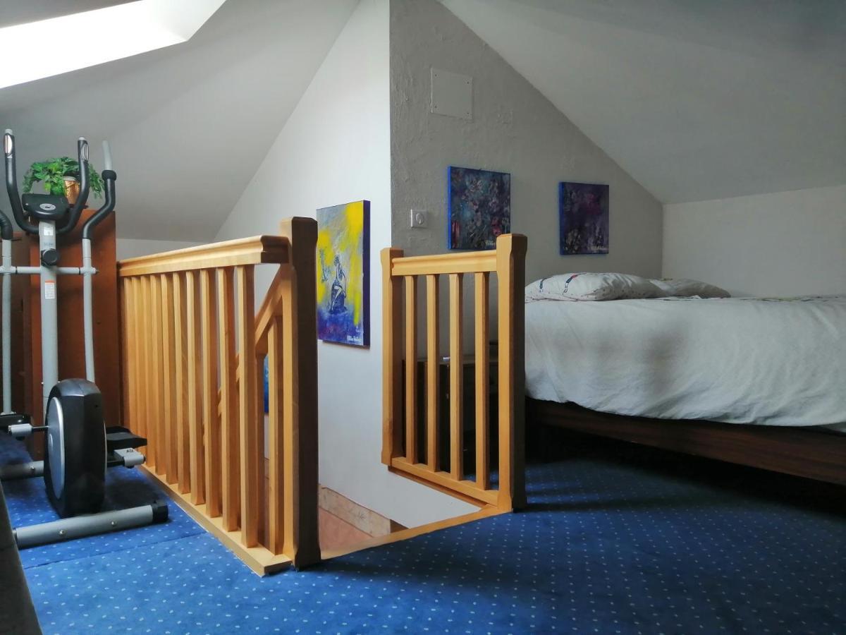 Apartmán Chez Olivier Et Josette Sur Mulhouse Sud Illfurth Exteriér fotografie
